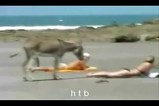 امرأة سوداء نحيفة في سكس مصري مخفي جديد الحيوانات المنوية أو عاطفة BDSM مع شاب.