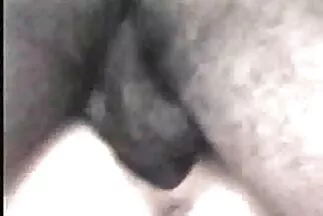 كتكوت مبلل في سكس محارم عرب جديد الحمام يجلس بشكل إيقاعي على دسار