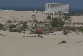 رجل واثق من نفسه يجعل الأشخاص الناضجين موقع سكس مصرى جديد يمارسون الجنس