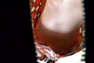 العاهرة جائعة للداعر وتضاجع صديقها افلام جنس عربي جديدة بشكل رائع.