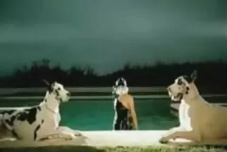 وضعت سكس عربي جديد نار Blonda صديقتها وتمسح بوسها