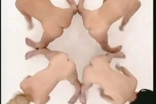 جلست كراليا على وجه سكس عربي جديد مصري صديقتها من أجل اللحس