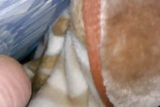 فتاة متعرجة تلعق كس صديقتها بفمها سكس اجنبى جديد مترجم
