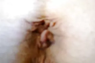 مينكسيس يستمني في الغابة وينغمس صور سكس عربي جديده في المطر الذهبي